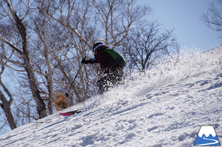 DYNASTAR SKI series Test Ride Days 2017 in ニセコユナイテッド【Day.2】～ニセコグラン・ヒラフ～